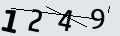 verifycode